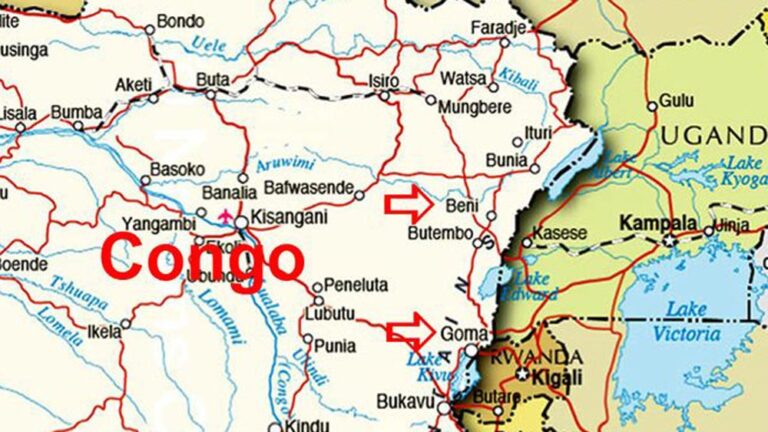 Projecte d’emergències per garantir els serveis de salut de la població afectada per l’activitat bèl·lica i l’epidèmia d’ebola a la R.D. del Congo